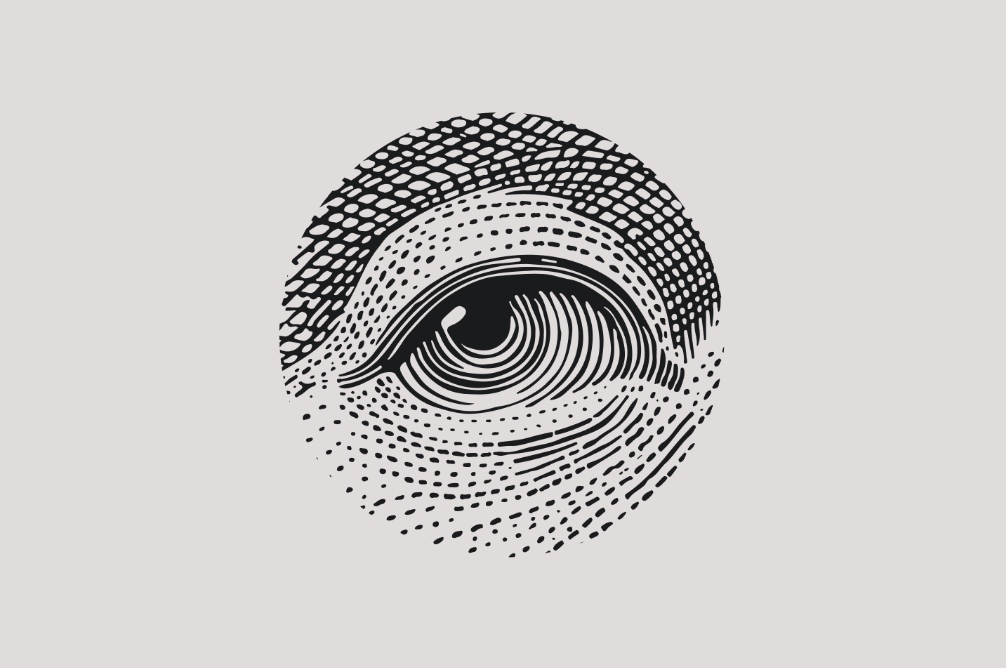 Beeldmerk van Follow The Money: een getekend oog